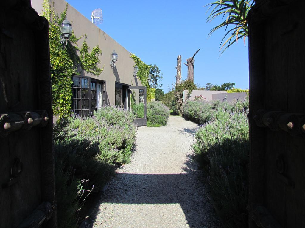 Plett River Lodge Plettenberg Bay Eksteriør bilde